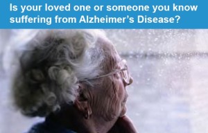 Alzheimer's disease education