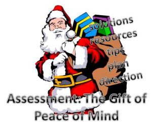 gift of the geriatric care management assessment